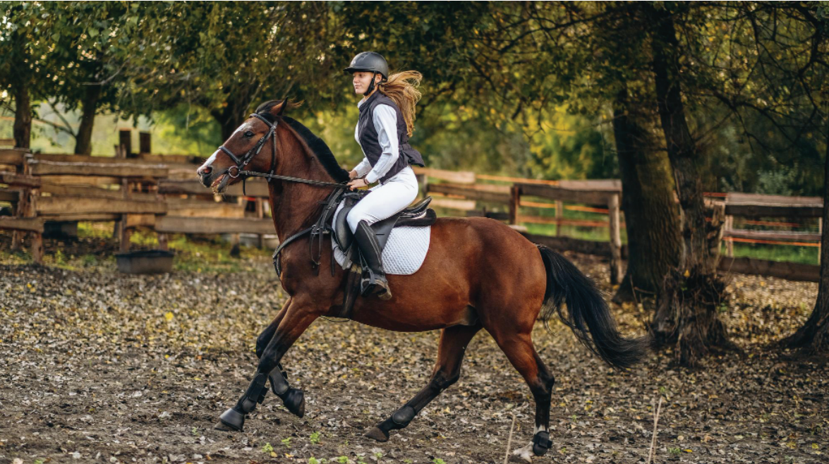 Horse Riding